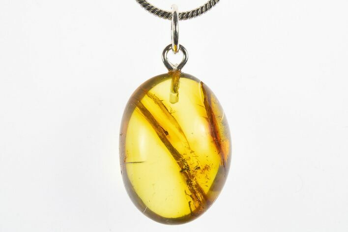 Polished Baltic Amber Pendant (Necklace) - Contains Two Flies! #311015